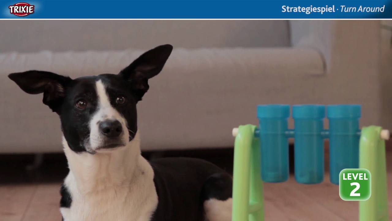 TRIXIE Dog Activity Turn Around