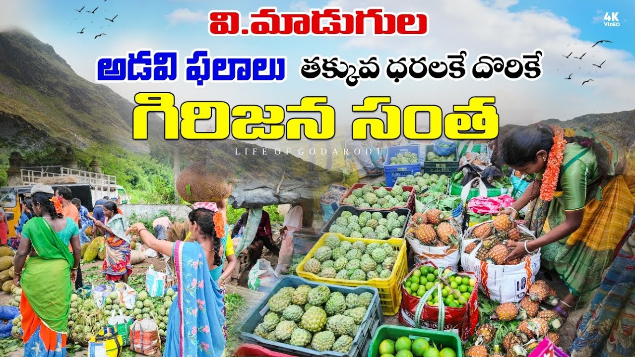Agency Fruit Market || Tribal fruit market || V.Madugula fruit market #santha #fruit #market