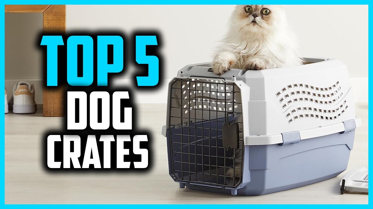 ✅Top 5 Best Dog Crates in 2026