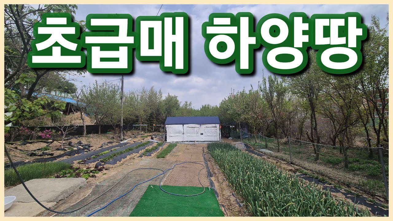 경산시 하양읍 초급매 대도로 확장 예정중인 생활권 멋진 토지가치 상승 높은 경산 하양땅 하양토지 보러오세요 3104