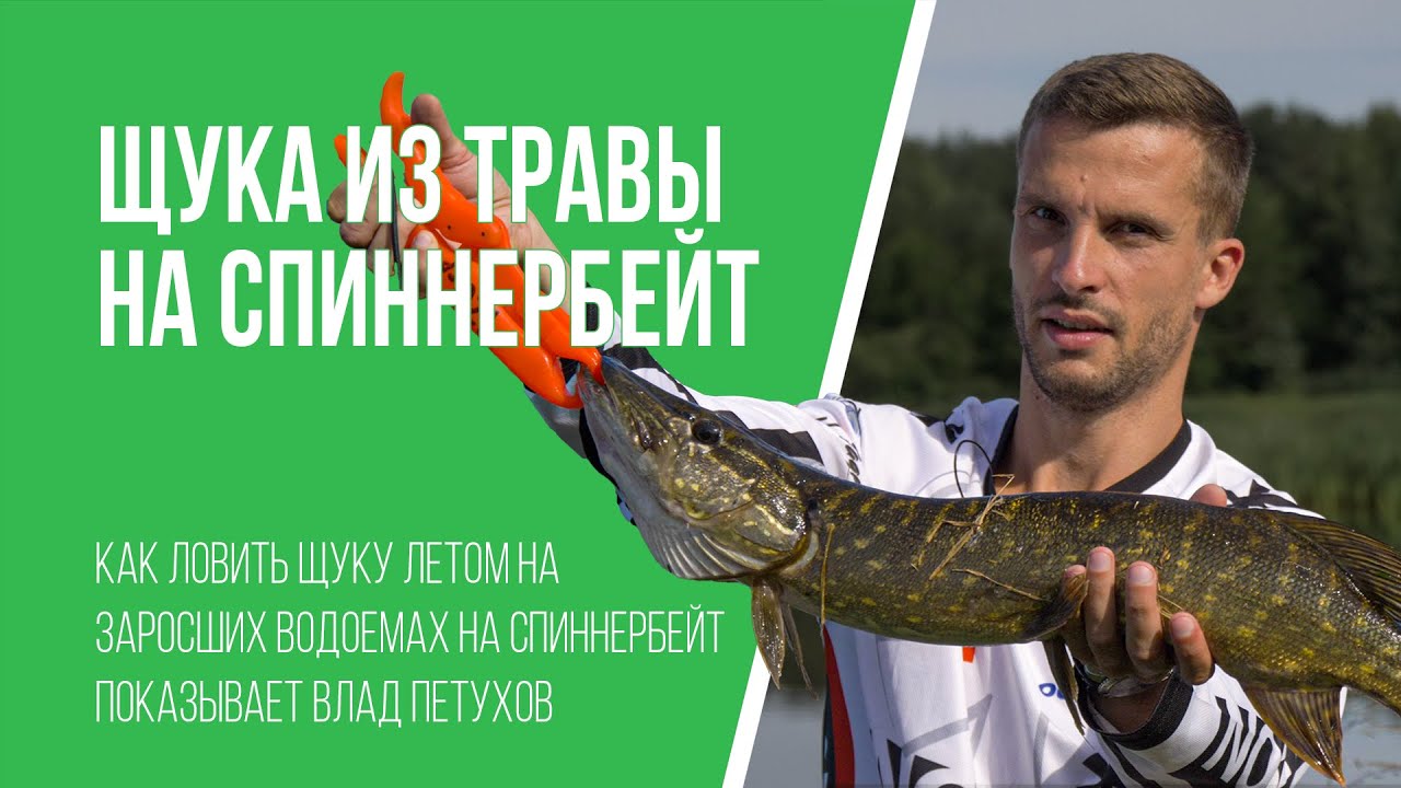 Ловля щуки на спиннербейты в траве летом