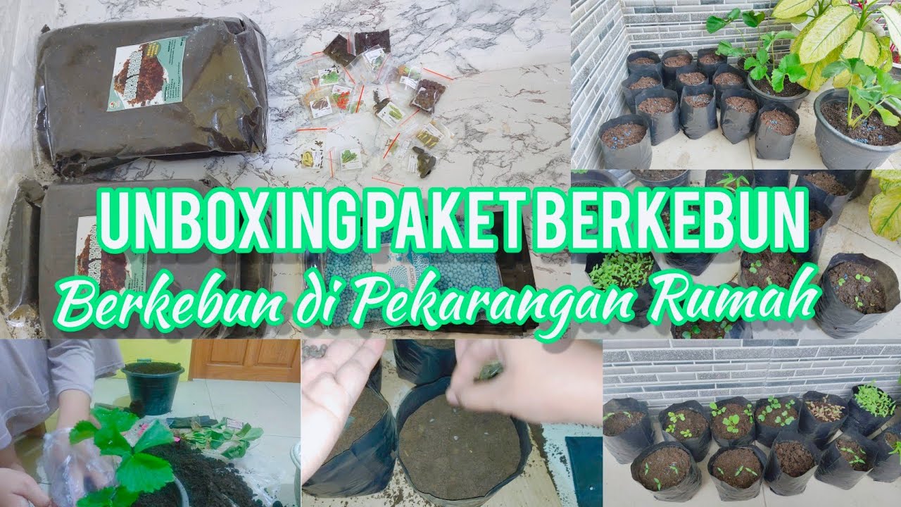 Unboxing Paket Berkebun || Berkebun Di Pekarangan Rumah #vlogirt