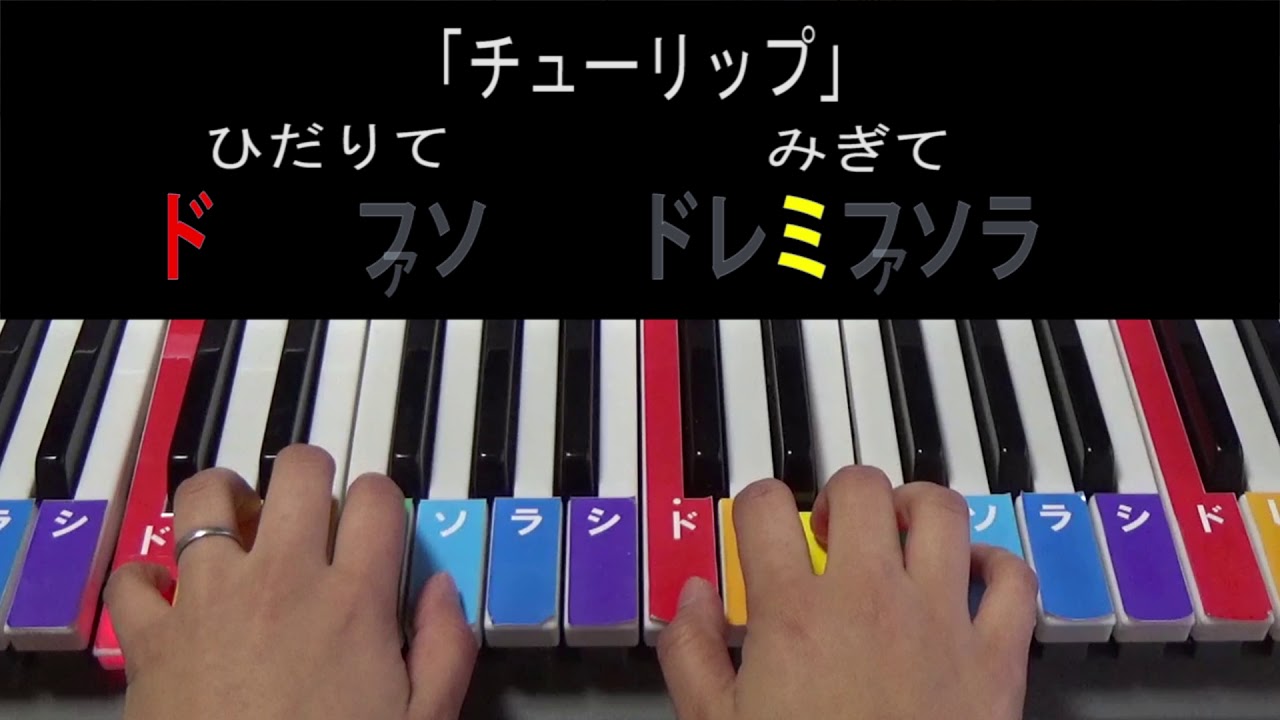 【ピアノ・かんたん】「チューリップ」両手
