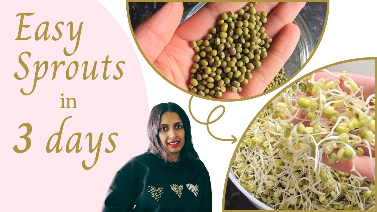 How I Easily Sprout Mung Beans in Less Than THREE Days! | No special equipment or skills needed