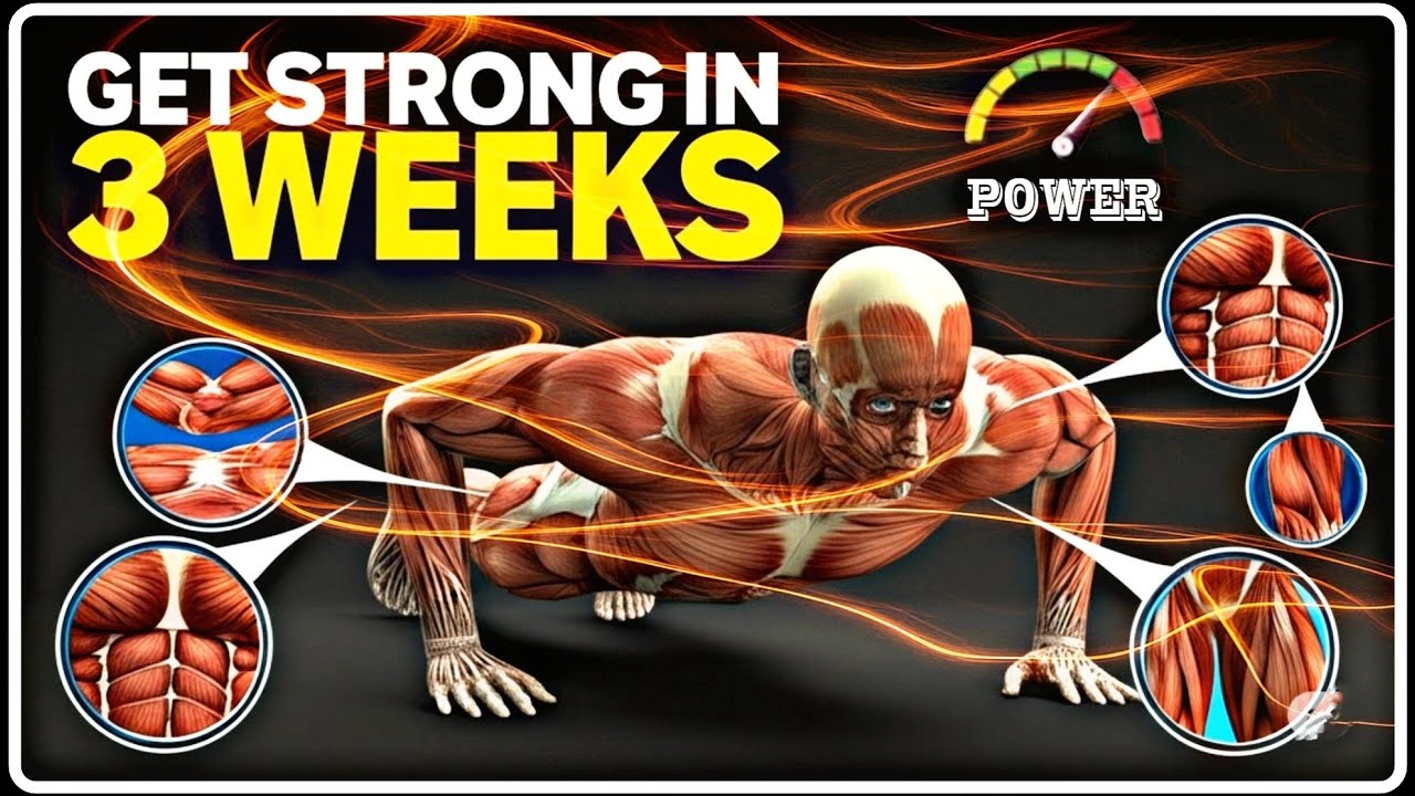“6 Best Bodyweight Exercises to Build Muscle Fast at Home (No Equipment )