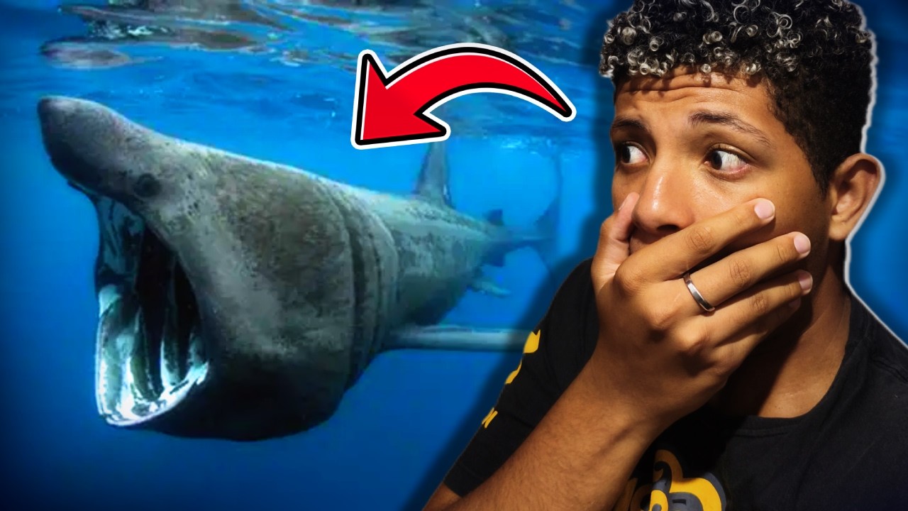 O QU&Atilde;O PROFUNDO E O OCEANO!?