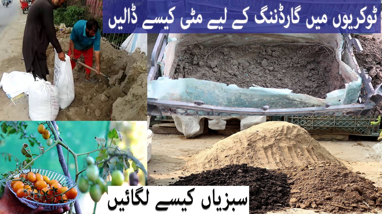 ٹوکریوں میں گارڈننگ کے لیے مٹی کیسے ڈالیں/ سبزیاں کیسے لگائیں