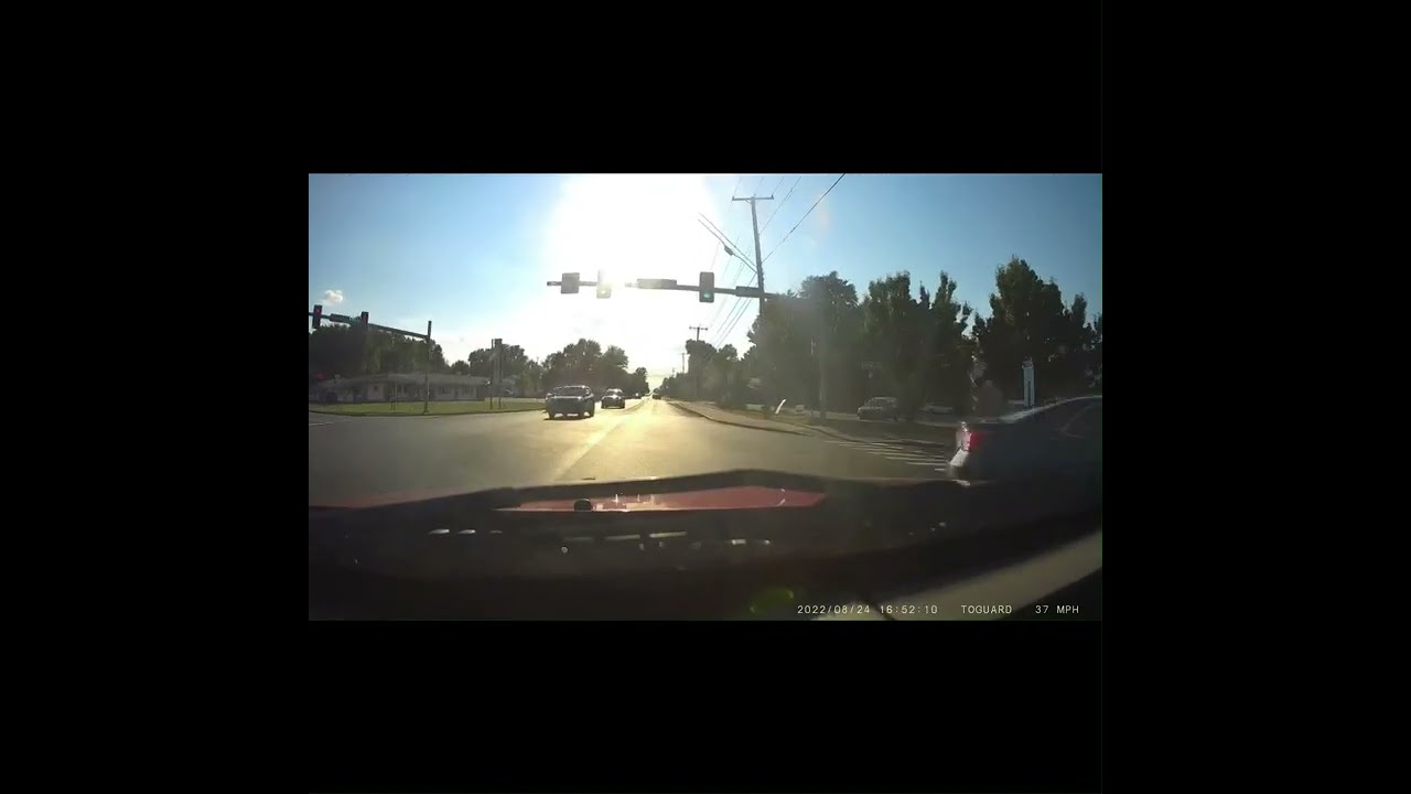 Bad Drivers and peacock in the road