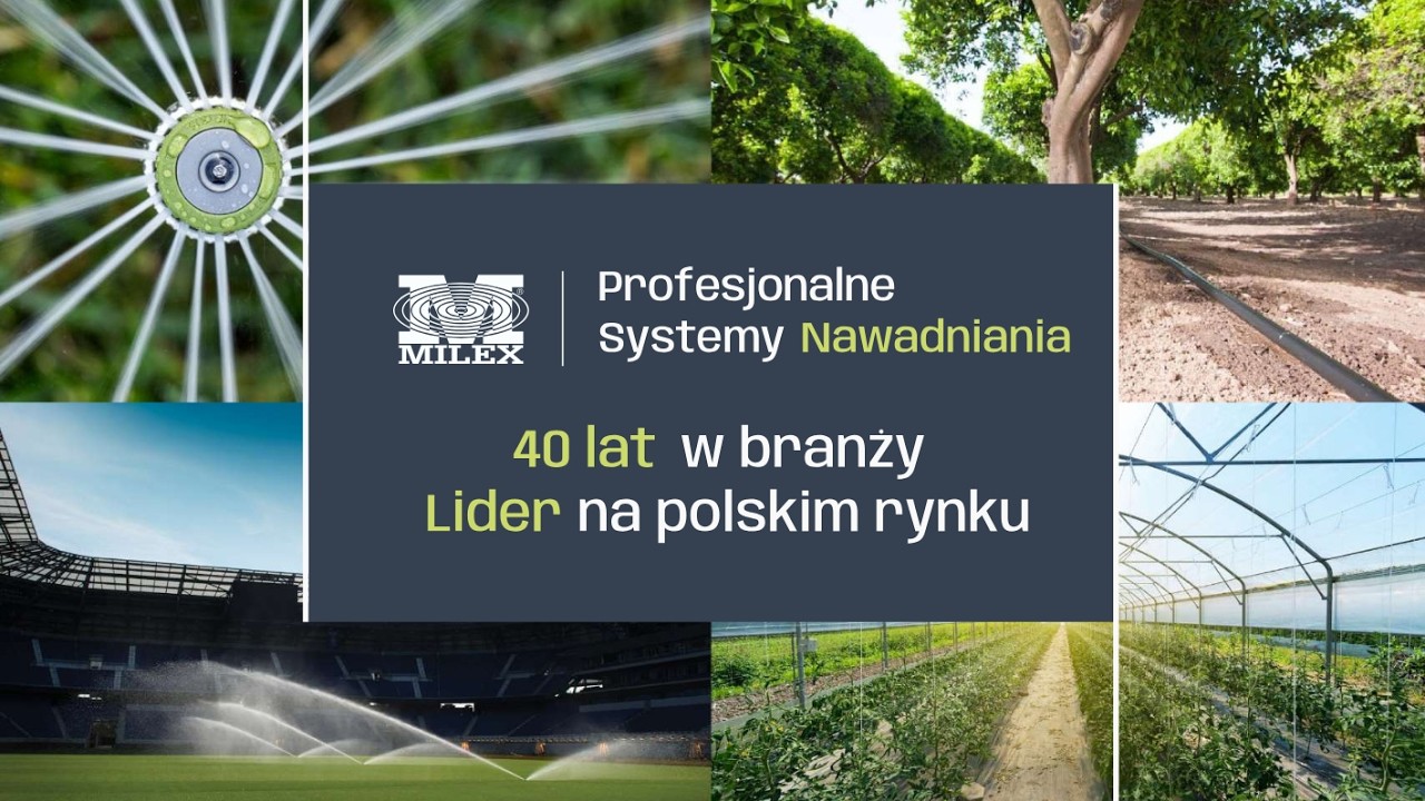 WEBINAR 