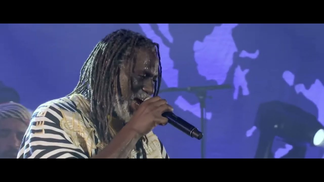 Tiken Jah Fakoly  -   Plus rien ne m'étonnes