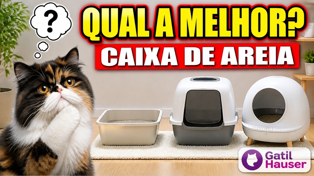 CAIXAS DE AREIA PARA GATOS E TIPOS DE AREIAS PARA GATOS  - Gatil Hauser