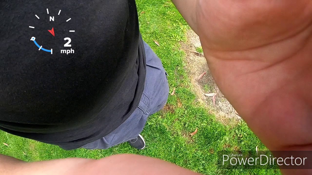 Gopro hero 8 vs hero 7? Which should you buy for the holidays?