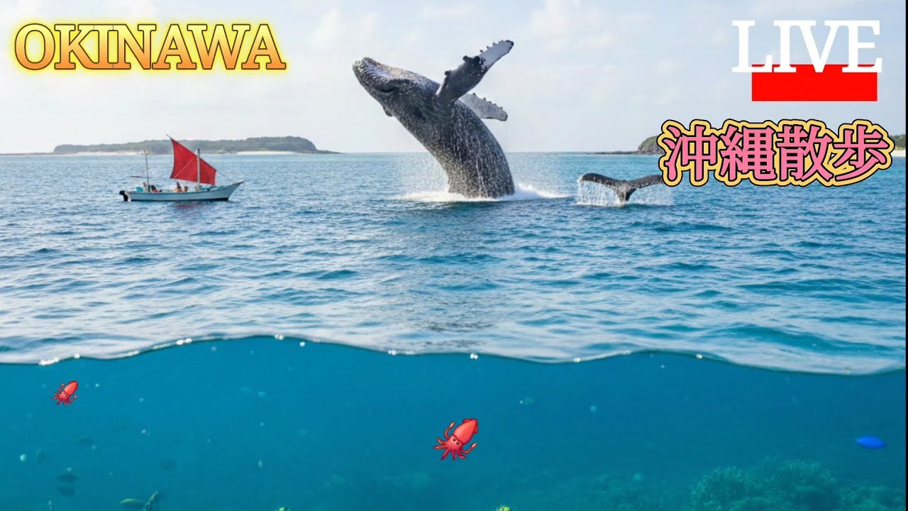 沖縄散歩サンセットドライブ#ライブ配信#沖縄ライブ配信#沖縄#南の島