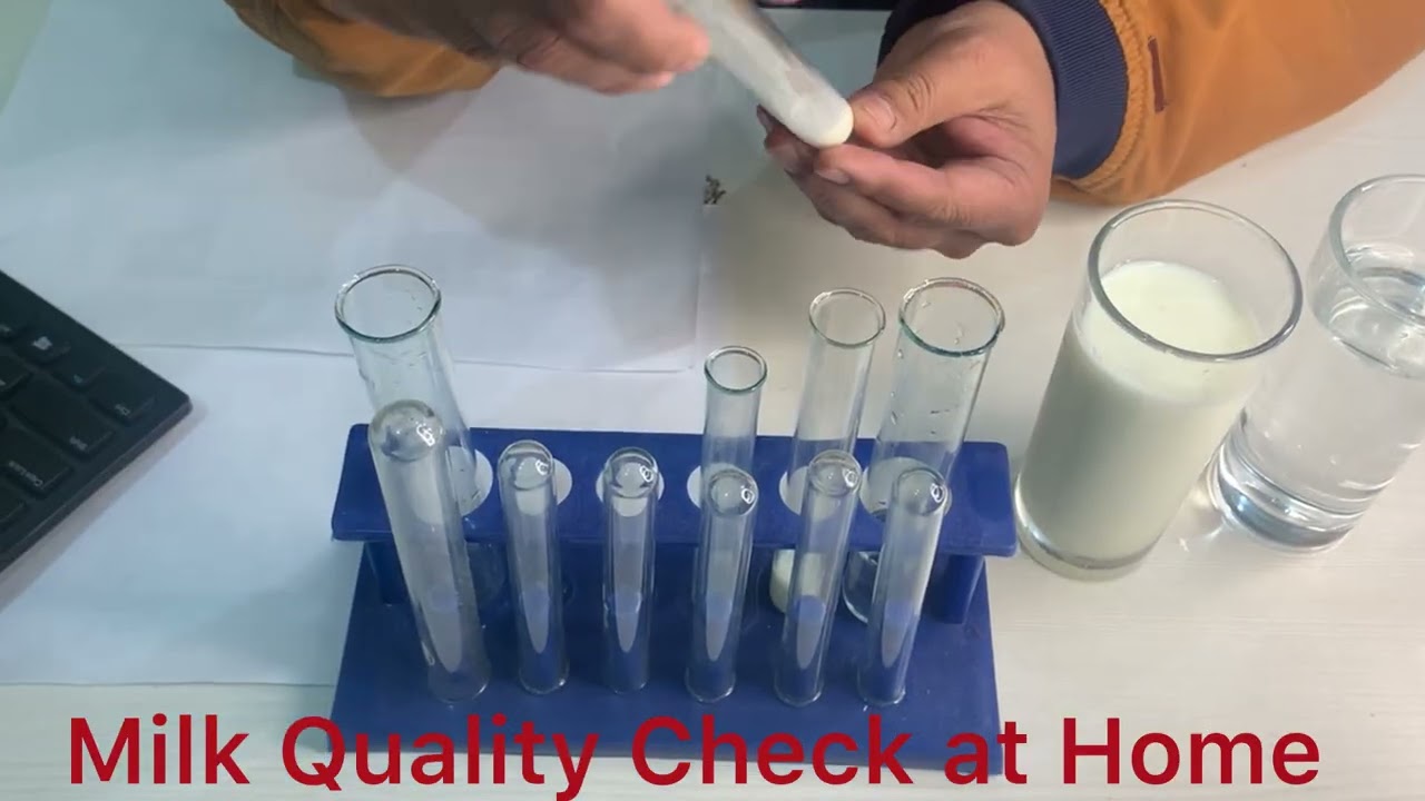Milk Testing at Home 