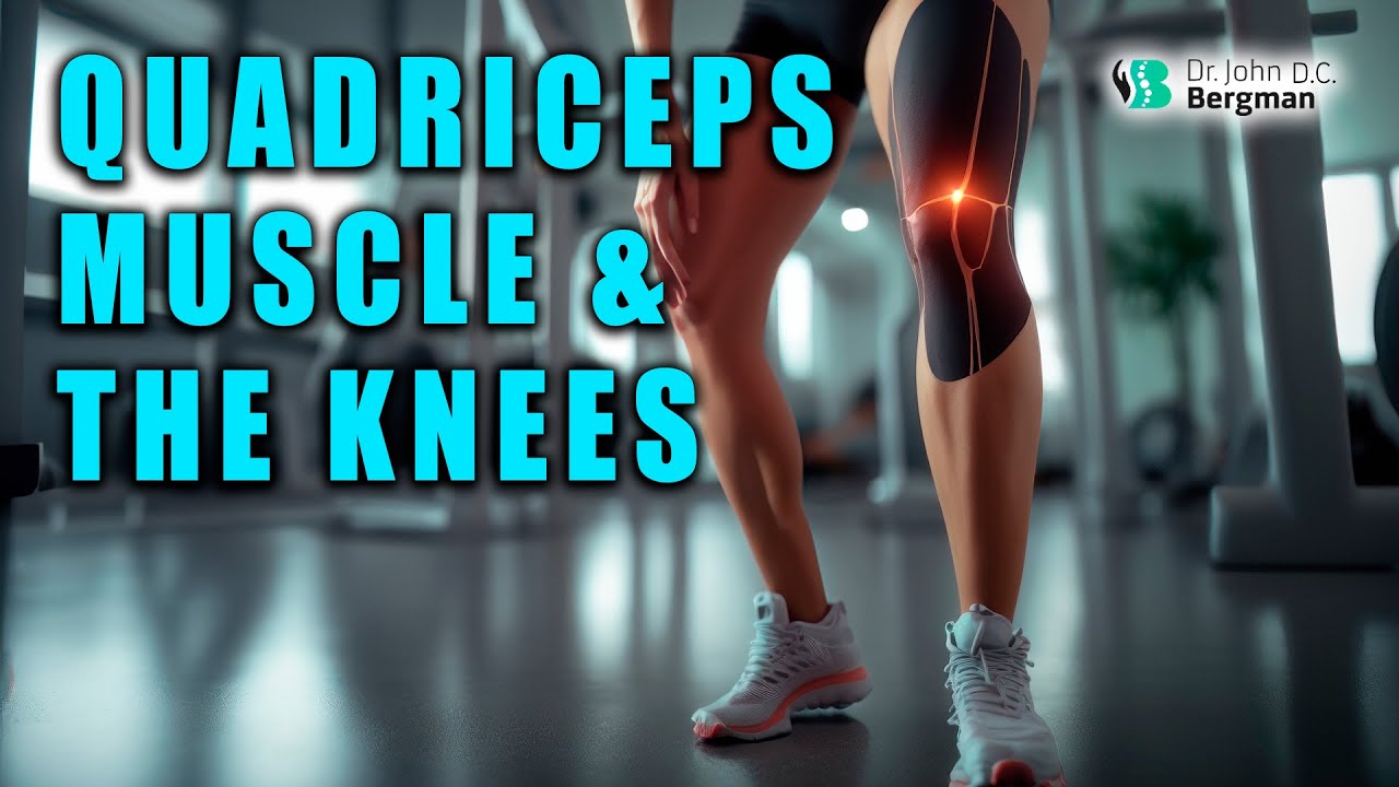 Quadriceps Muscle & The Knees 💪🦵🦵