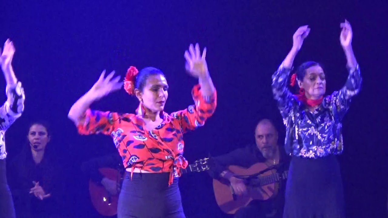 Apresentação - Rueda Flamenca 2019 - Jaleos