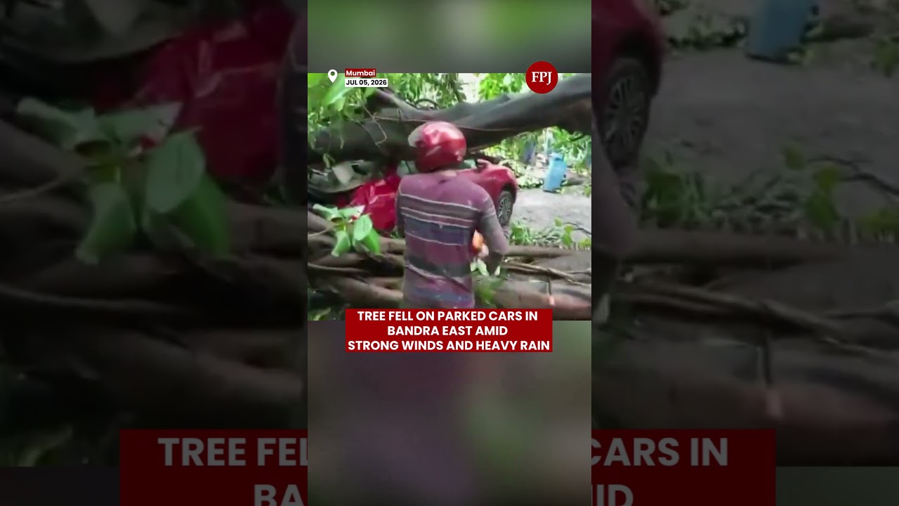 Mumbai Rains Today: Tree Falls on Parked Cars in Bandra East Amid Heavy Rain & Strong Winds