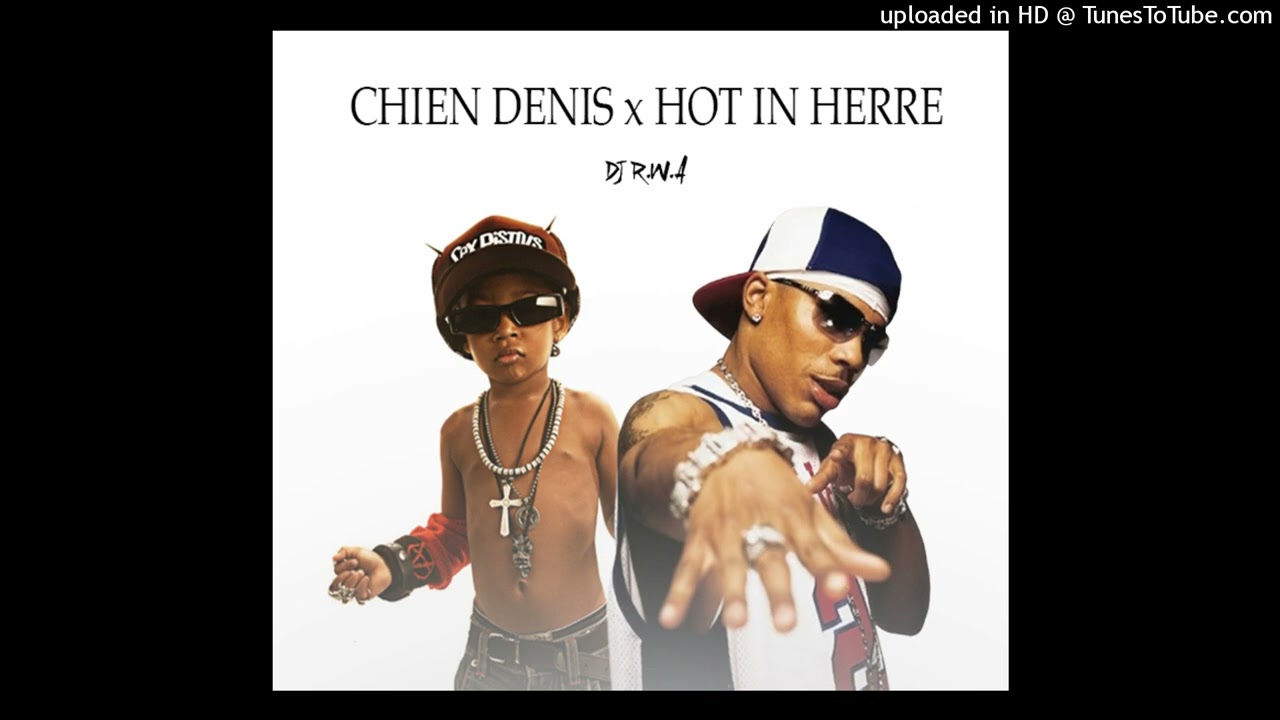 MASHUP CHIEN DENIS x HOT IN HERRE (DJ Pir4t)