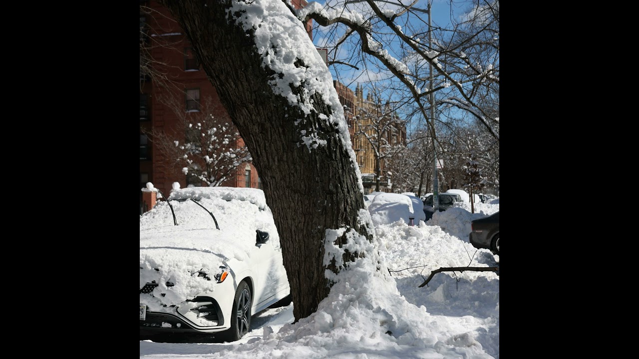 The Day After the 2026 Blizzard