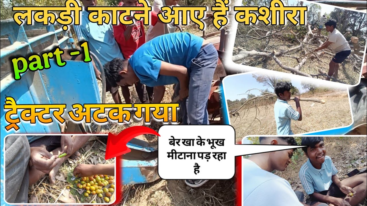 @Rk vlog Jharkhand 110#finally आज लकड़ी काटने आए हैं कशीरा//बेर खा के भूख मीटाना पड़ रहा है 🙄😟