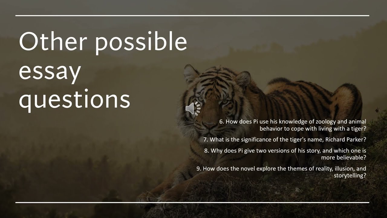 Possible questions in Life of Pi