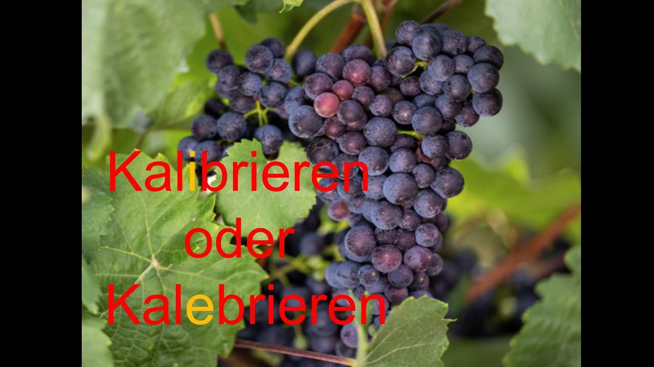 Kalibrieren oder Kalebrieren