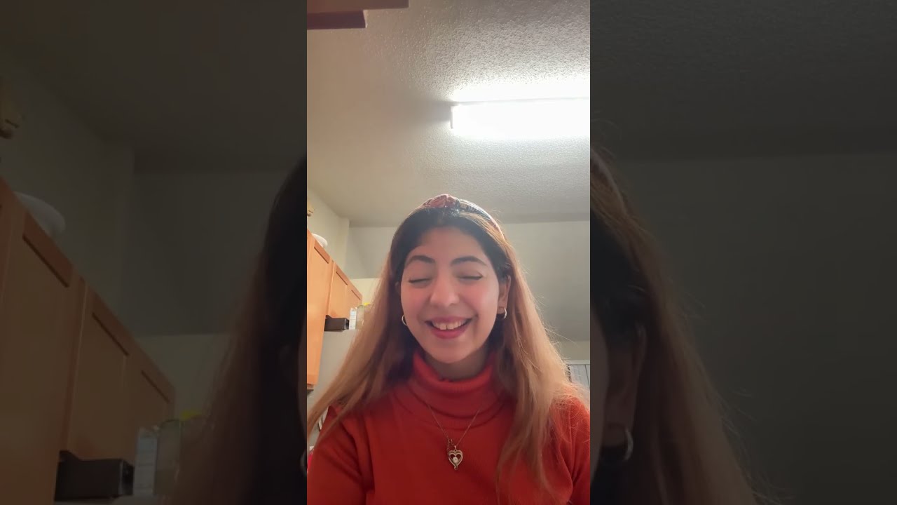 بدأت قناة 