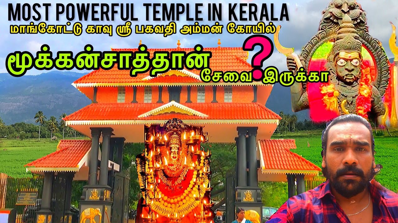 மாங்கோட்டு காவு மூக்கன்சாத்தான் | Mangottu kavu Bhagavathy Temple | mangottukavu bagavathi temple