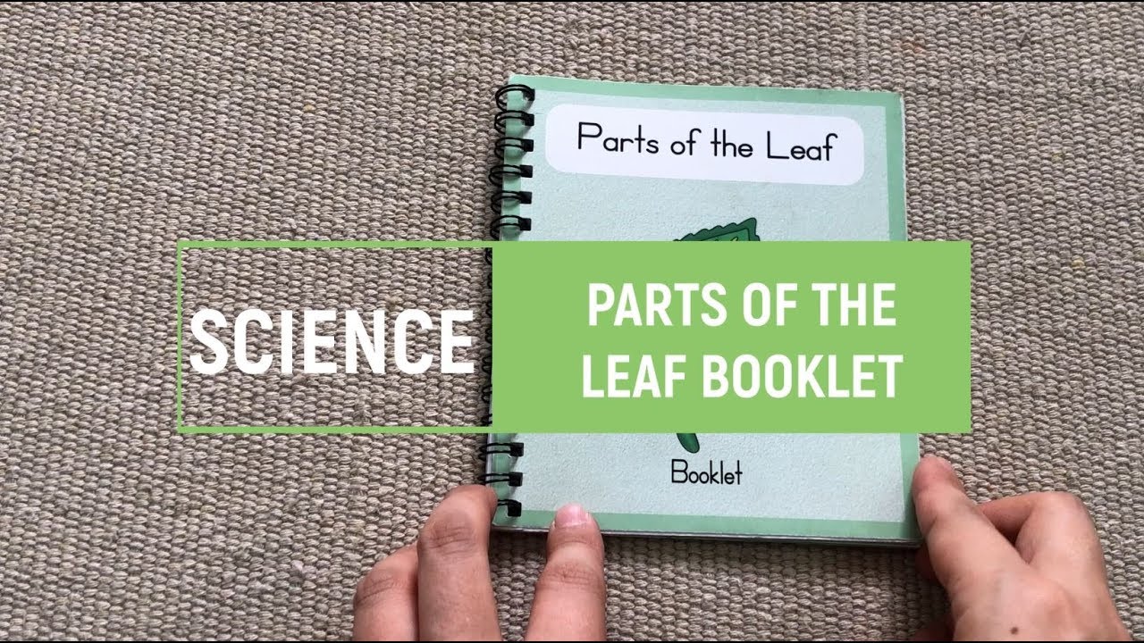[VMI] Science - Leaf Booklet -Parts of the Leaf - Montessori