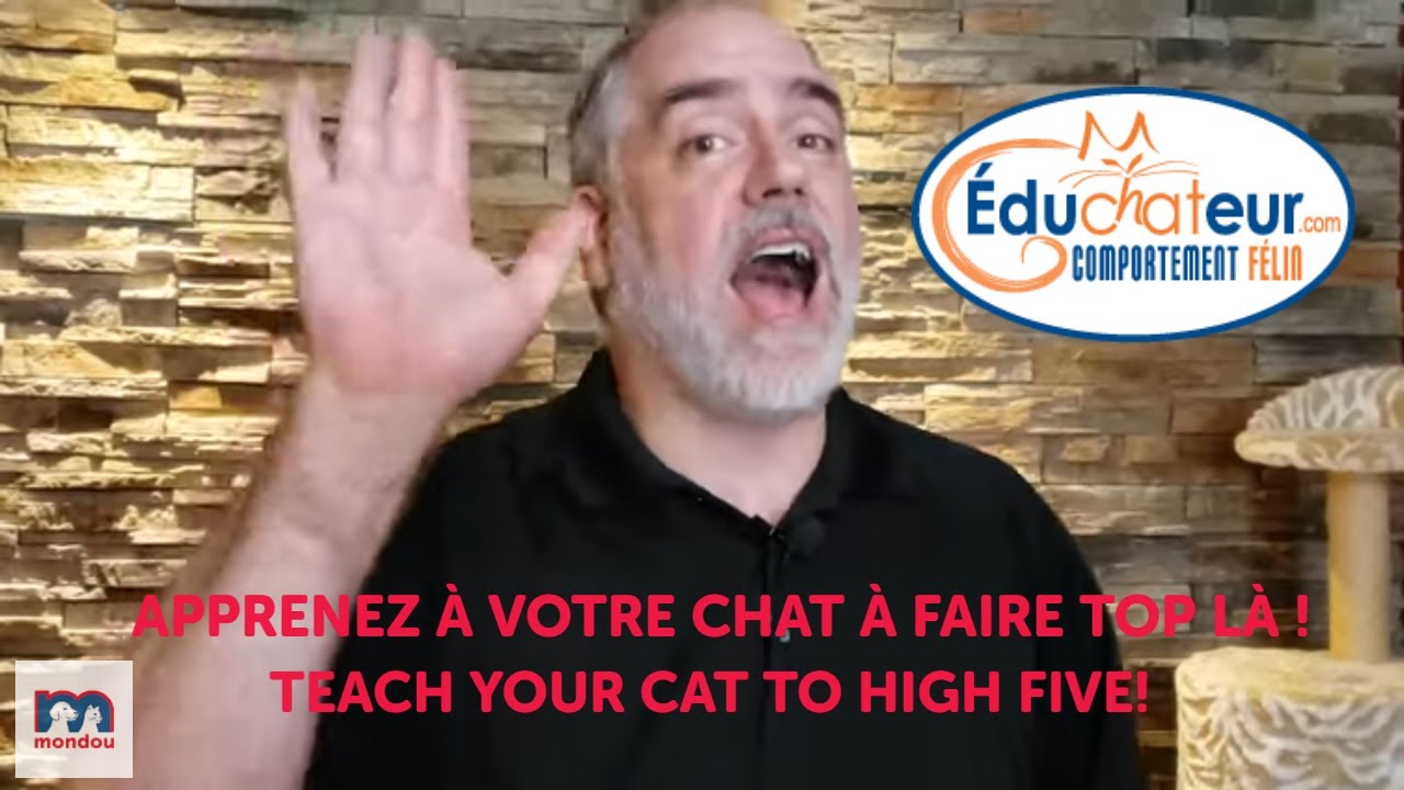 L'éduchateur - top là / high five !