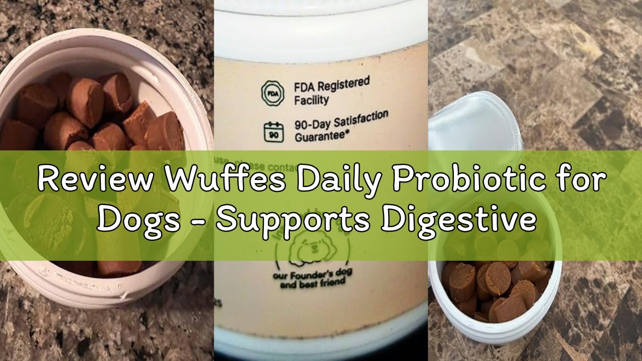 Review Wuffes Daily Probiotic for Dogs - Supports Digestive Health, Gut Balance, and Immune System -