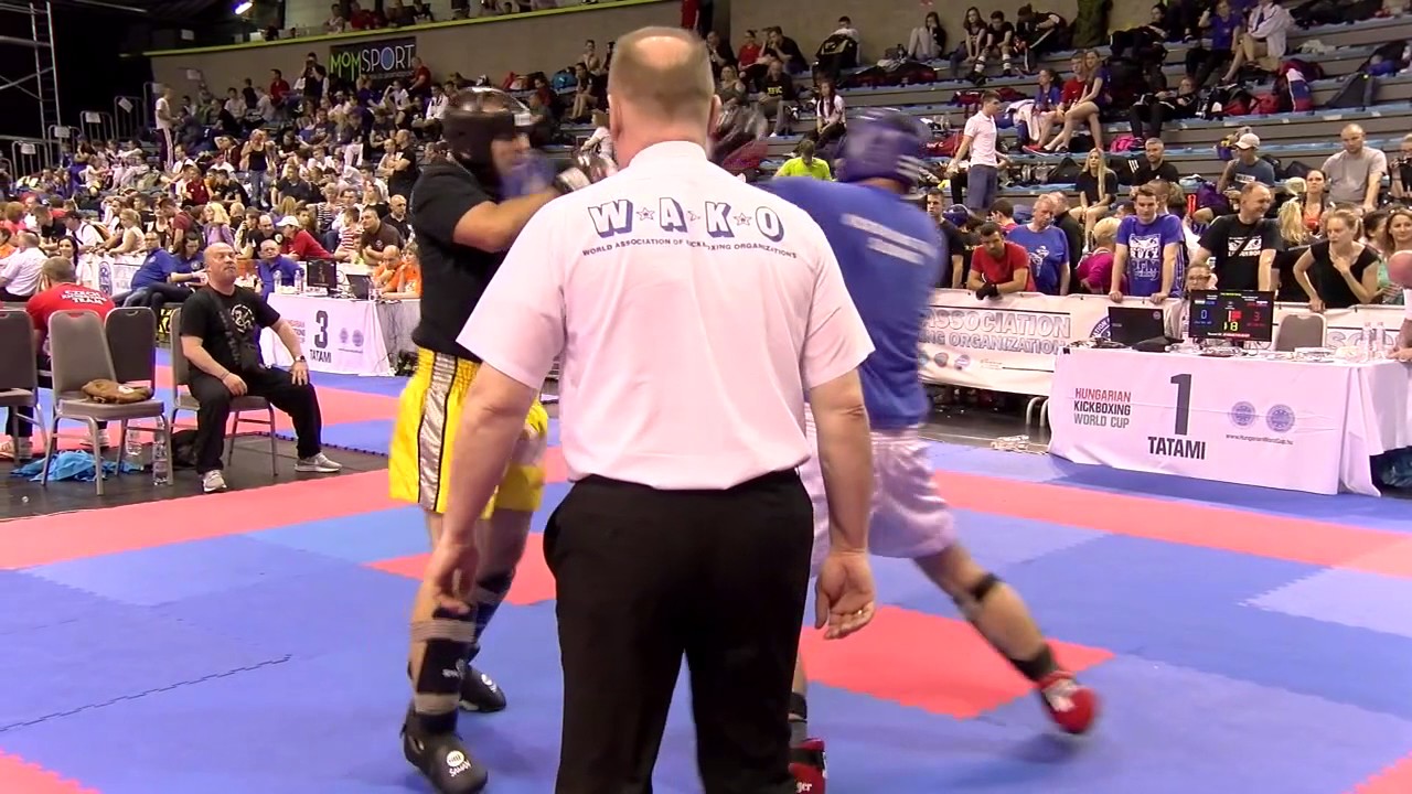 Adam Vida v Jaroslav Pala Hungarian World Cup 2017