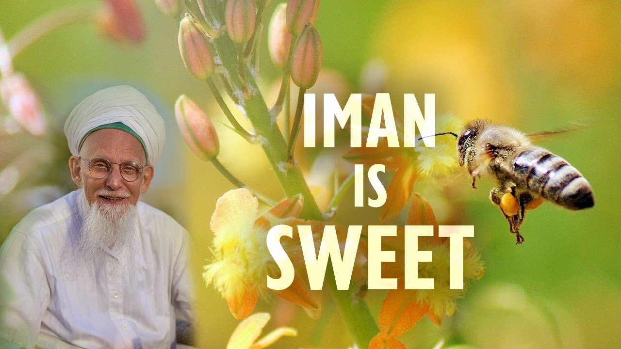 Iman is Sweet