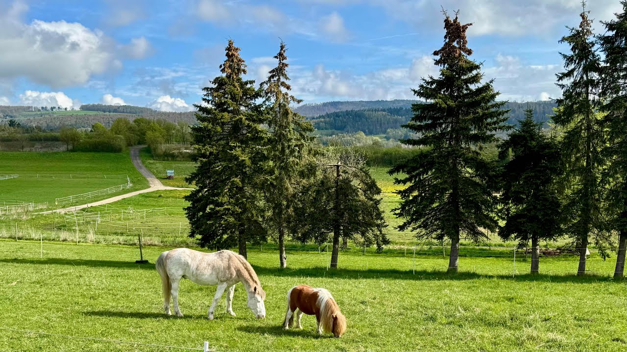„Traumhafte Auszeit am Bodensee - 2. Urlaubstag: Reichenau und Mindelsee“