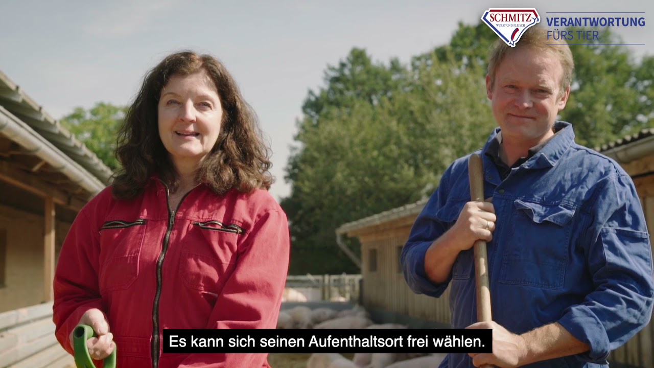 Schweine in Haltungsform 3