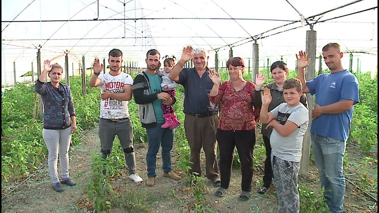 Familja e fermerëve e zhytur në borxhe: Çmimet e domateve na penalizuan