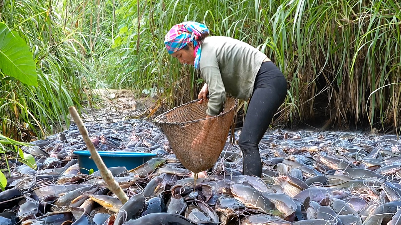 Catch & cook fresh fish: Hand-catching giant carp & catfish to make homemade smoked fish for sale