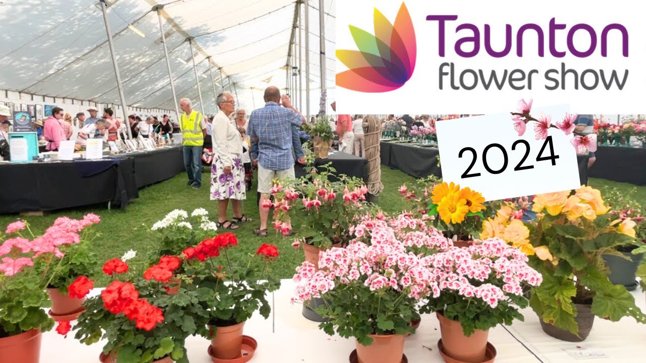 Taunton Flower Show 2024 | Look around with me | Chats  with show visitors and volunteers