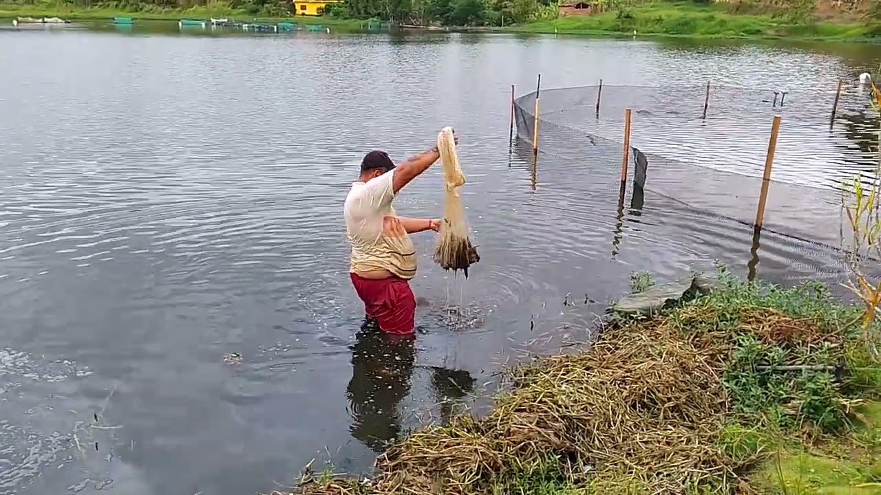  pescaria na lagoa  Colatino 