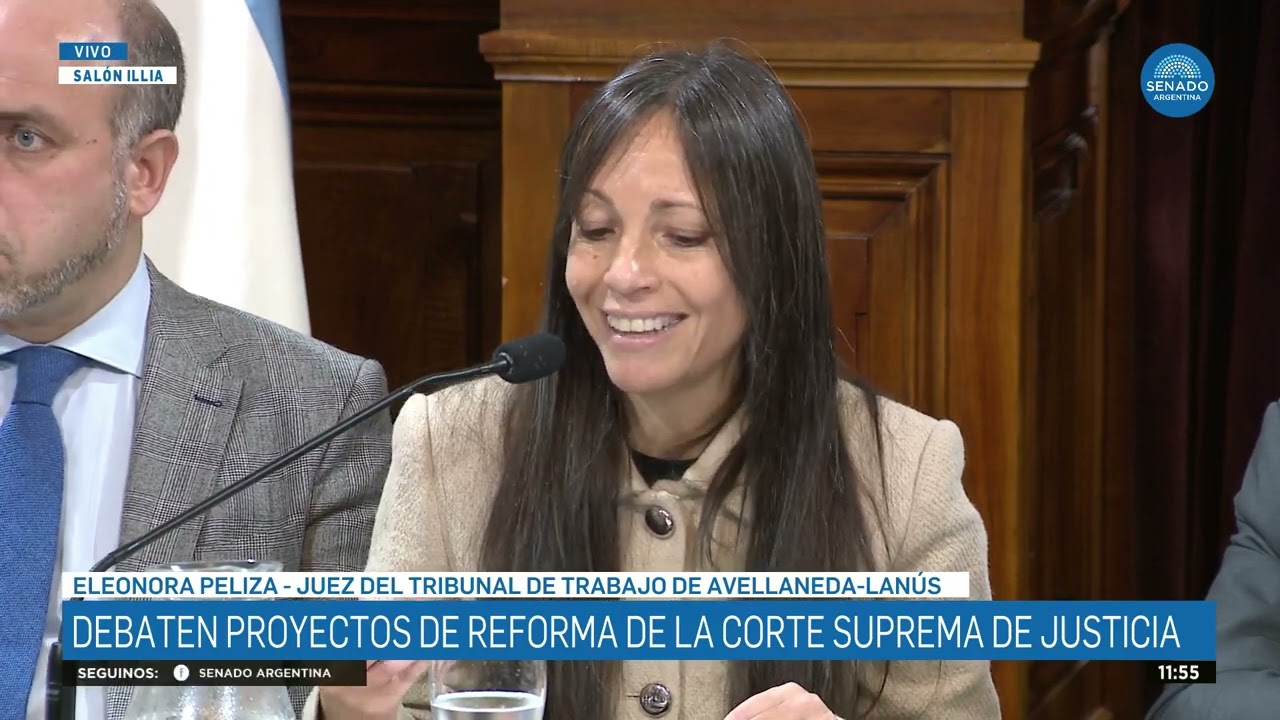 ELEONORA PELIZA - PLENARIO DE AS. CONSTITUCIONALES Y JUSTICIA 20-08-25