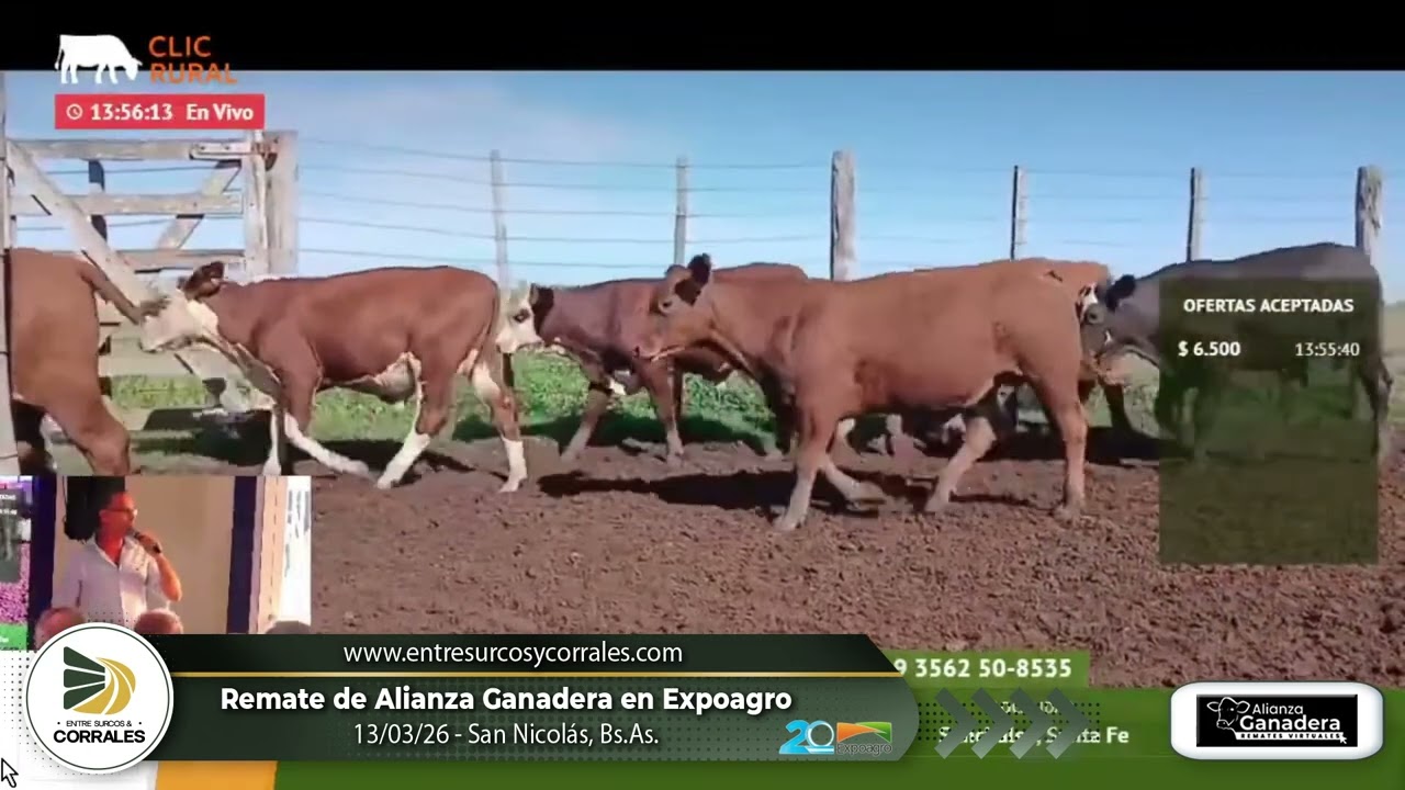 13-10-26 - Remate de Alinaza Ganadera en Expoagro - San Nicolás, Bs.As.
