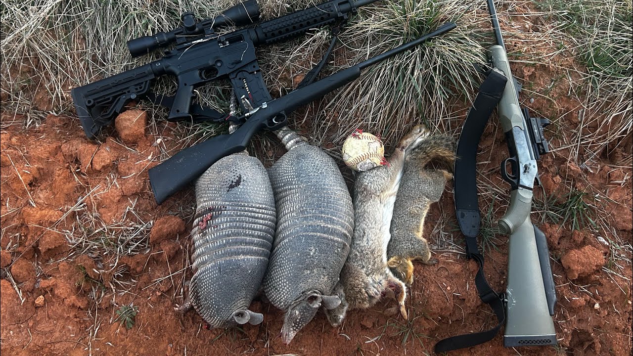 Multi species hunt,armadillos,squirrels,rabbits,pigs!!!!