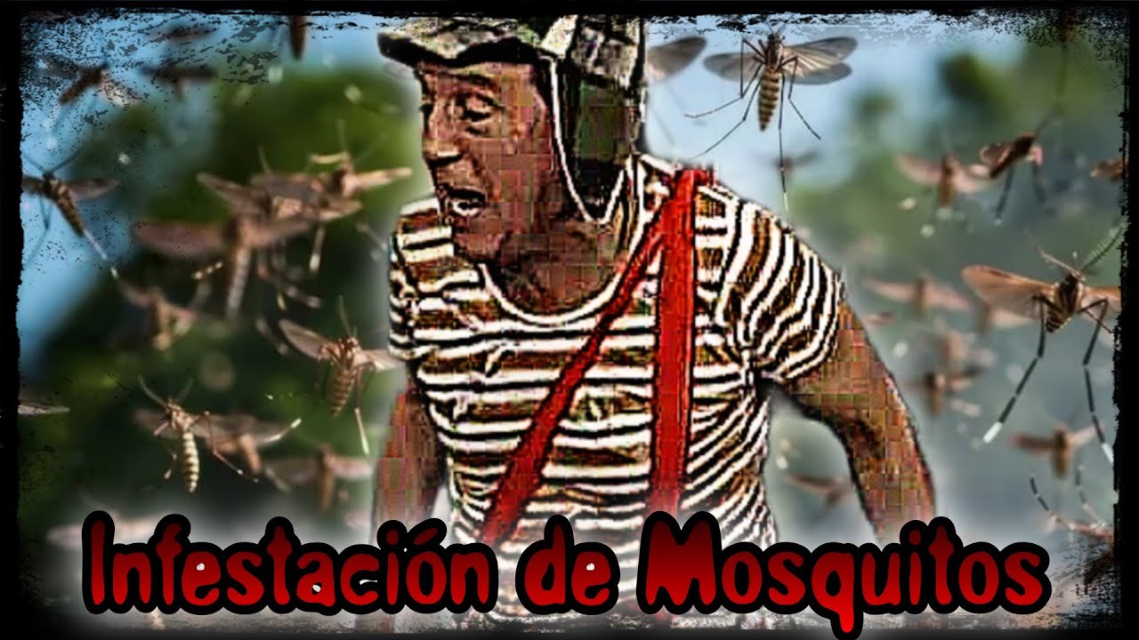 Infestacion de Mosquitos | Creepypasta El Chavo del 8 