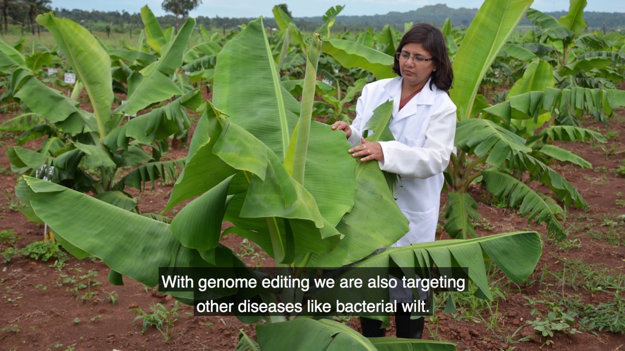 The Genome Editing Advantages - Leena Tripathi