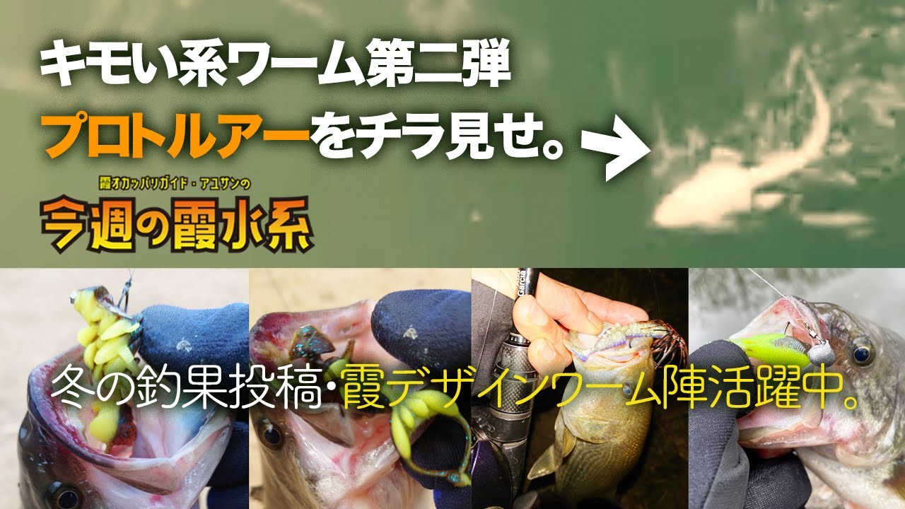 キモい系ワームpart2をチラ見せ『霞オカッパリガイド・アユサンの今週の霞水系』