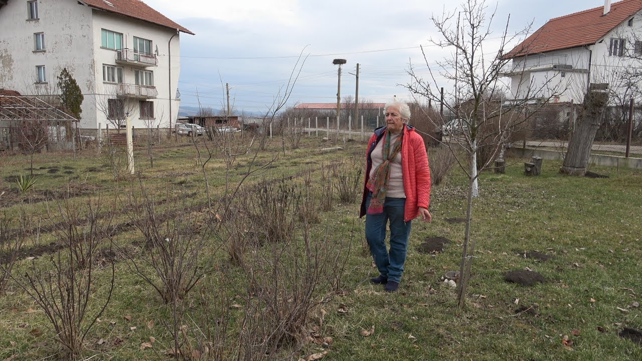 Епизод 16. Започваме резитбата с френското и бодливото грозде.