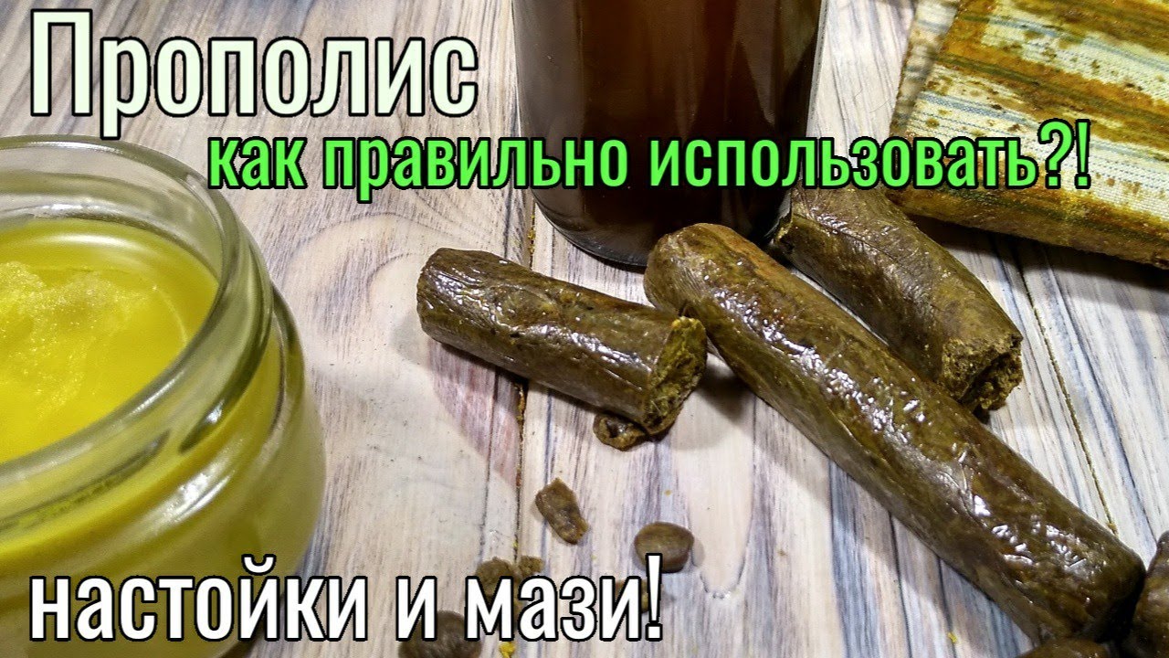 Способы применения, рецепты приготовления прополиса. Мазь и настойка, из прополиса прополисным холст