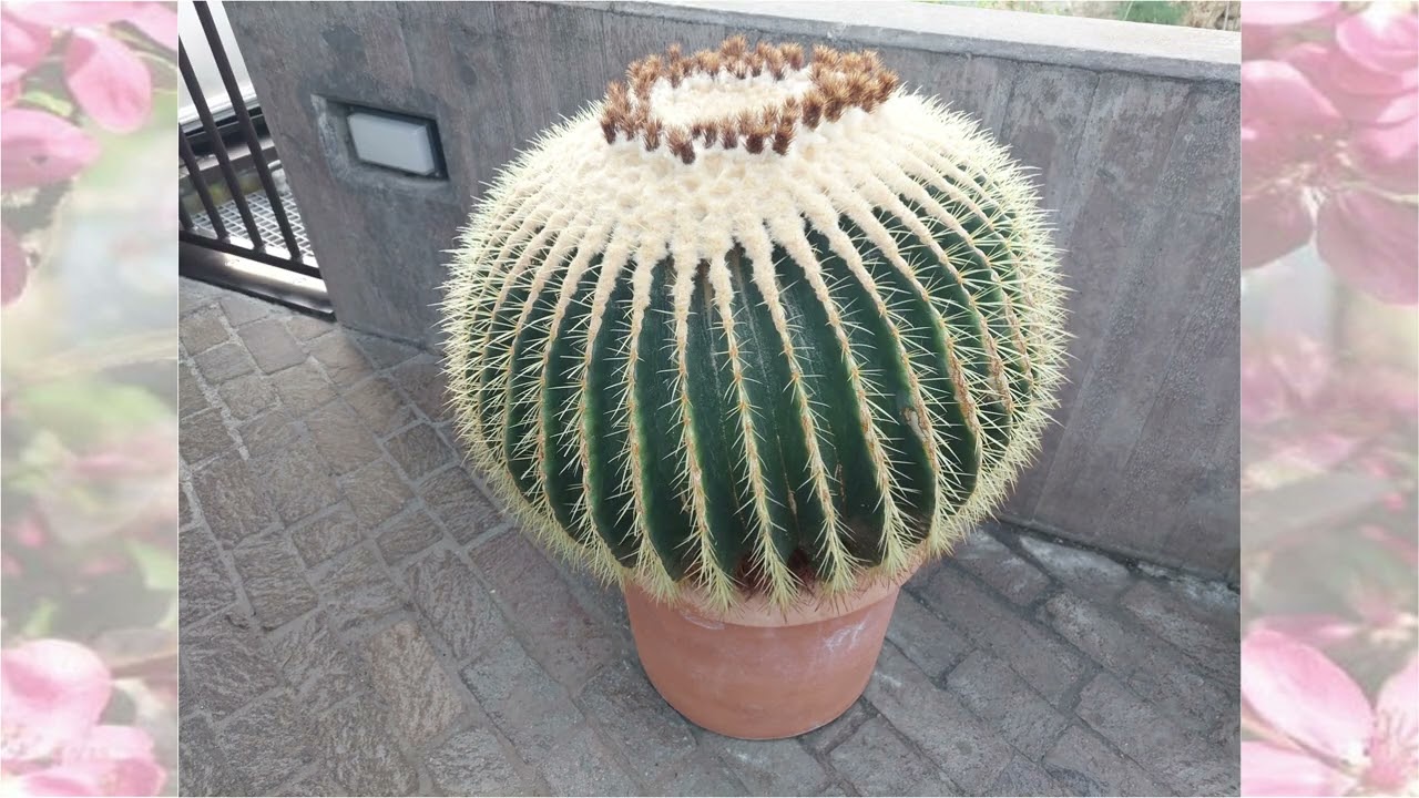 18. Januar 2025 Zürich Botanischer Garten