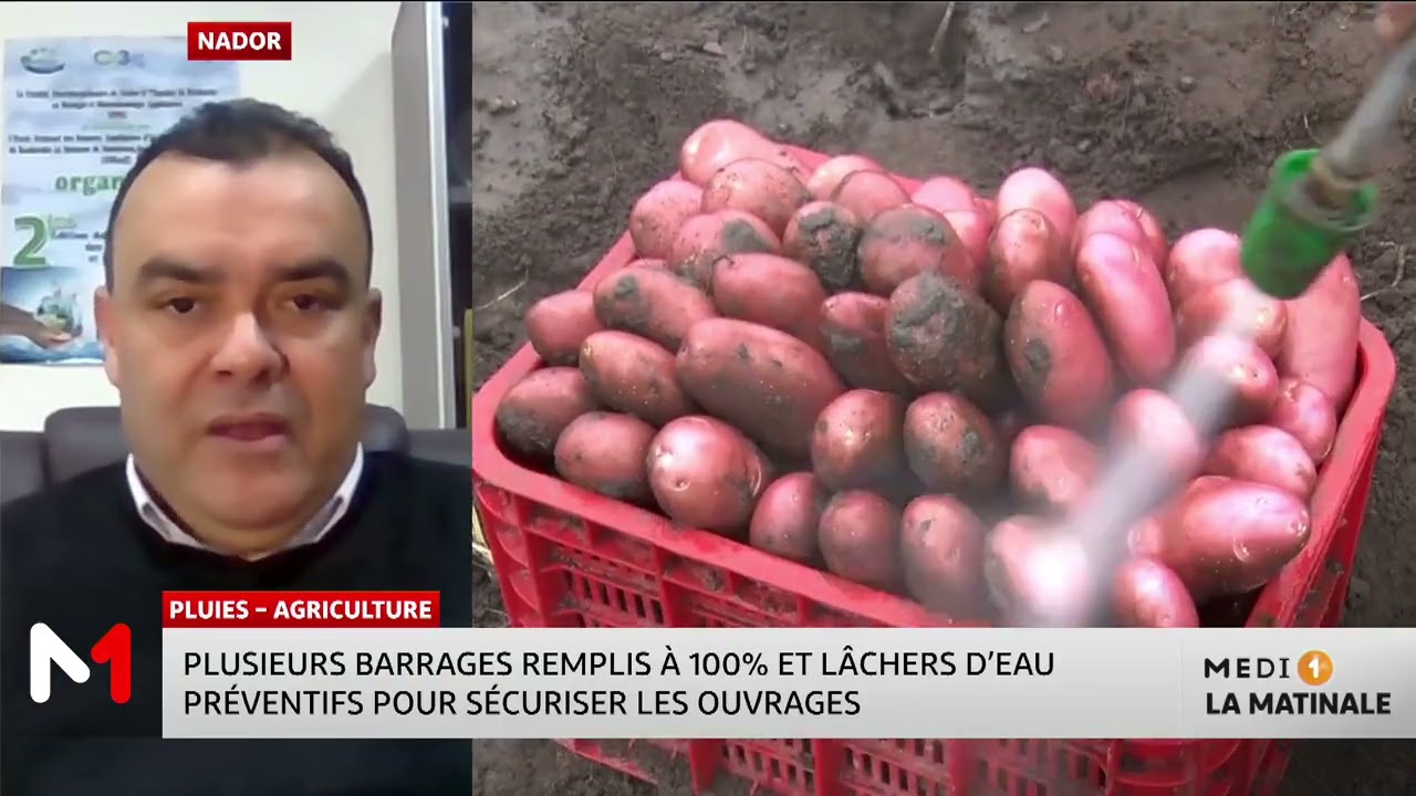 Linvité : zoom sur l'impact des intempéries sur la production agricole avec Kamal Aberkani
