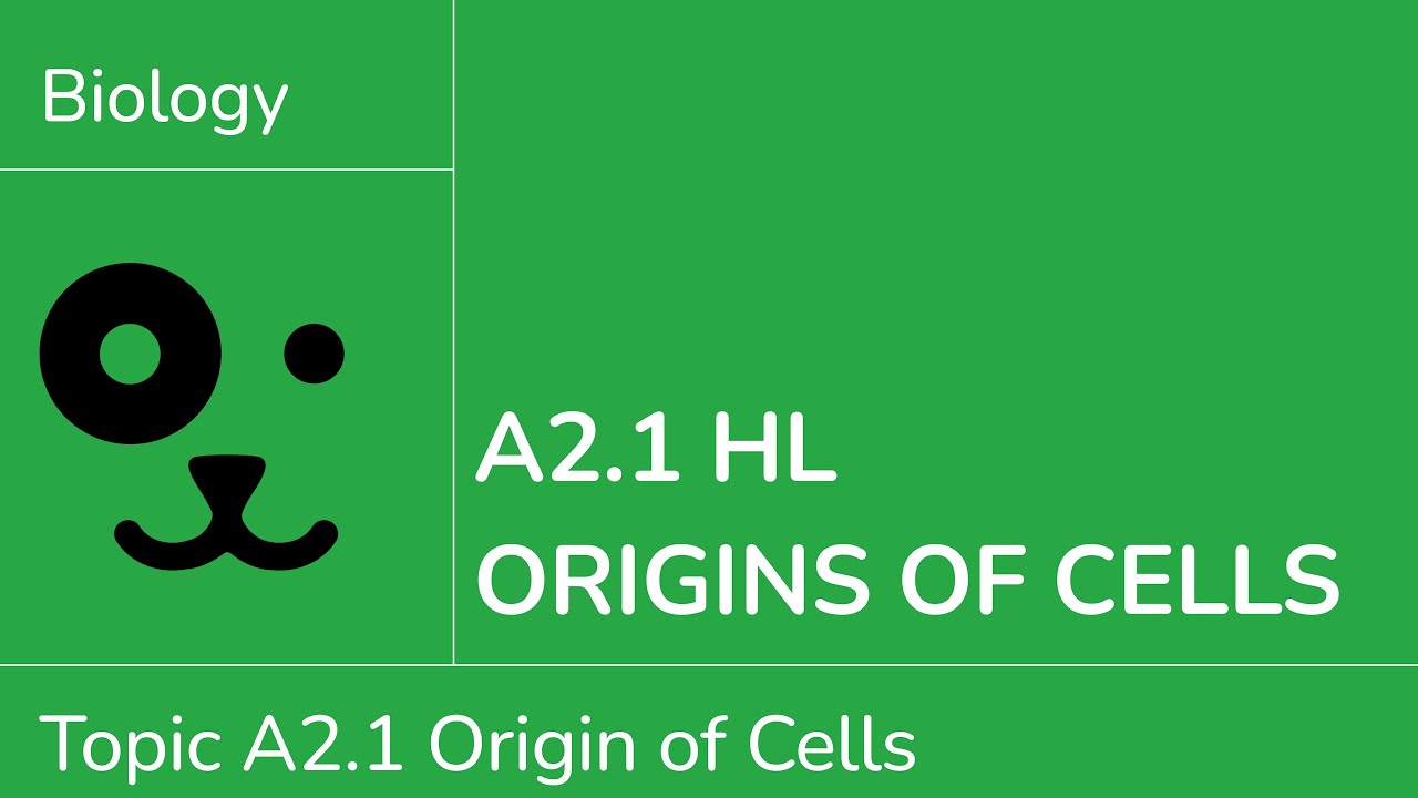A2.1 HL Происхождение клеток [IB Biology HL]
